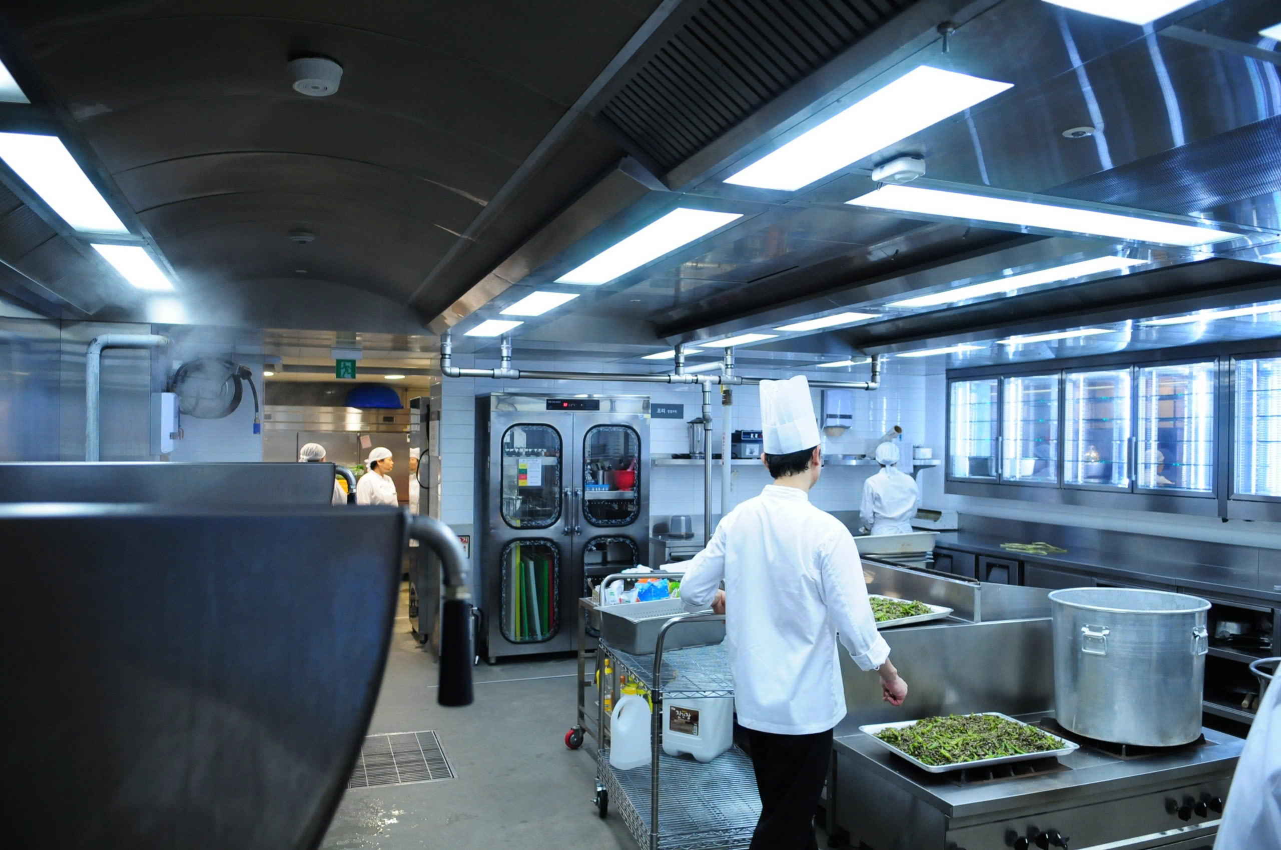 NĂNG LƯỢNG TẠO NGUỒN LƯƠNG THỰC THỰC PHẨM